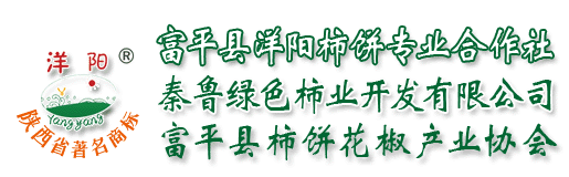 富平洋阳柿饼专业合作社
