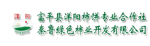 富平柿饼洋阳专业合作社秦鲁柿子业