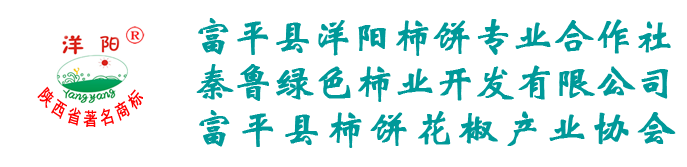 公司
